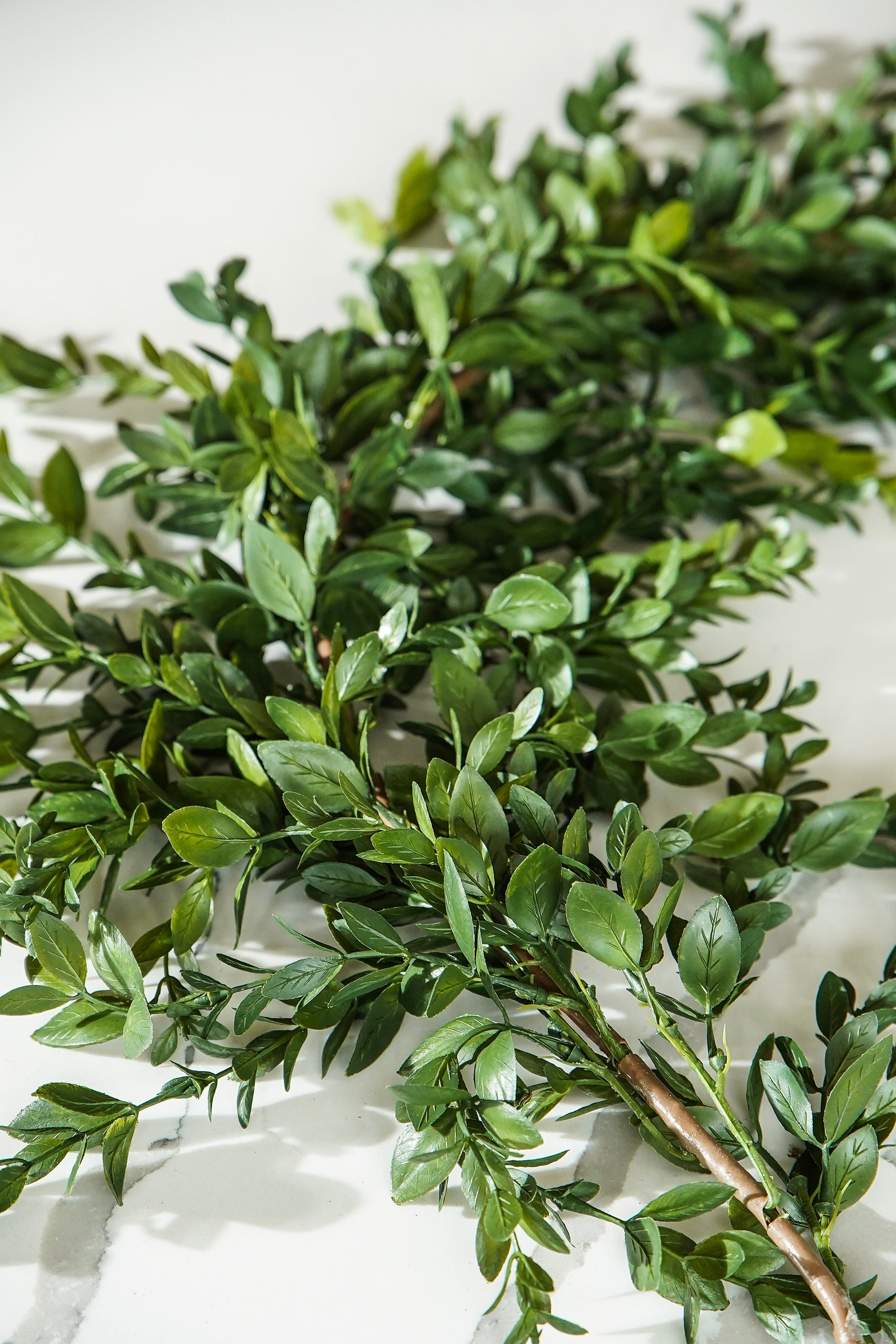 The Greenbriar Garland