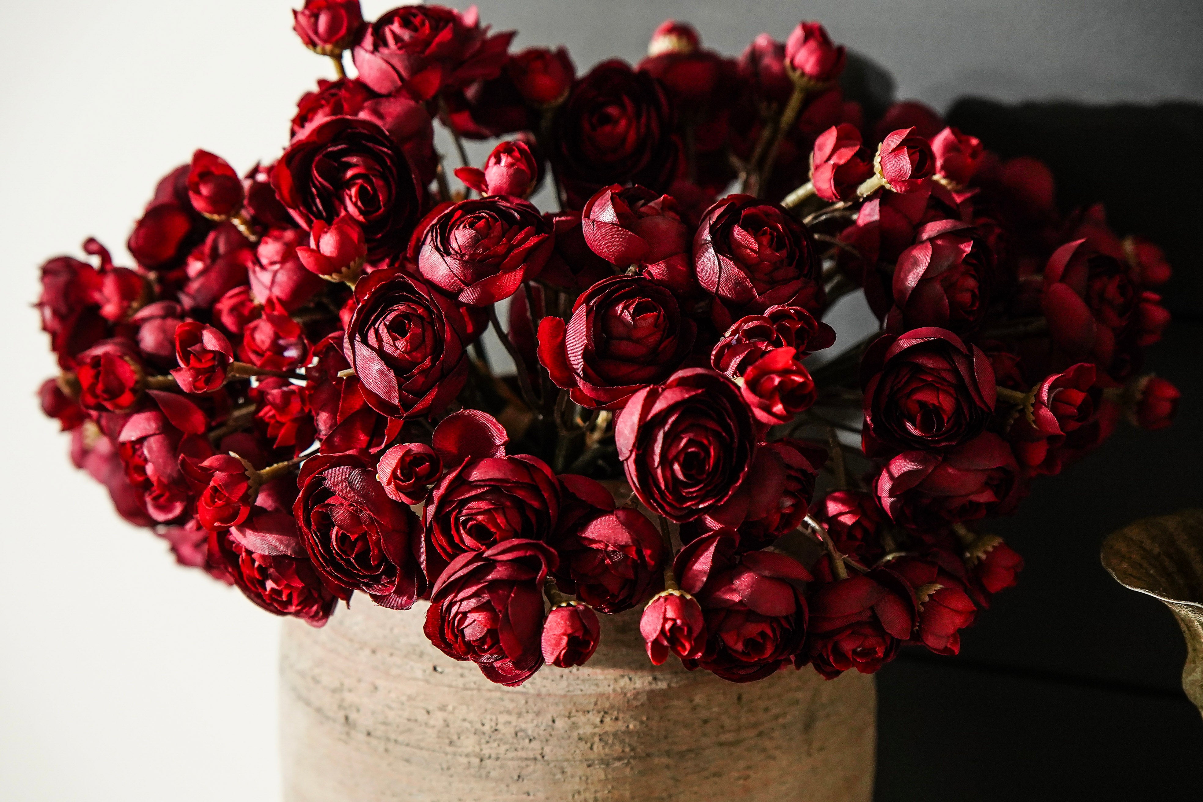 Burgundy Ranunculus Bunch