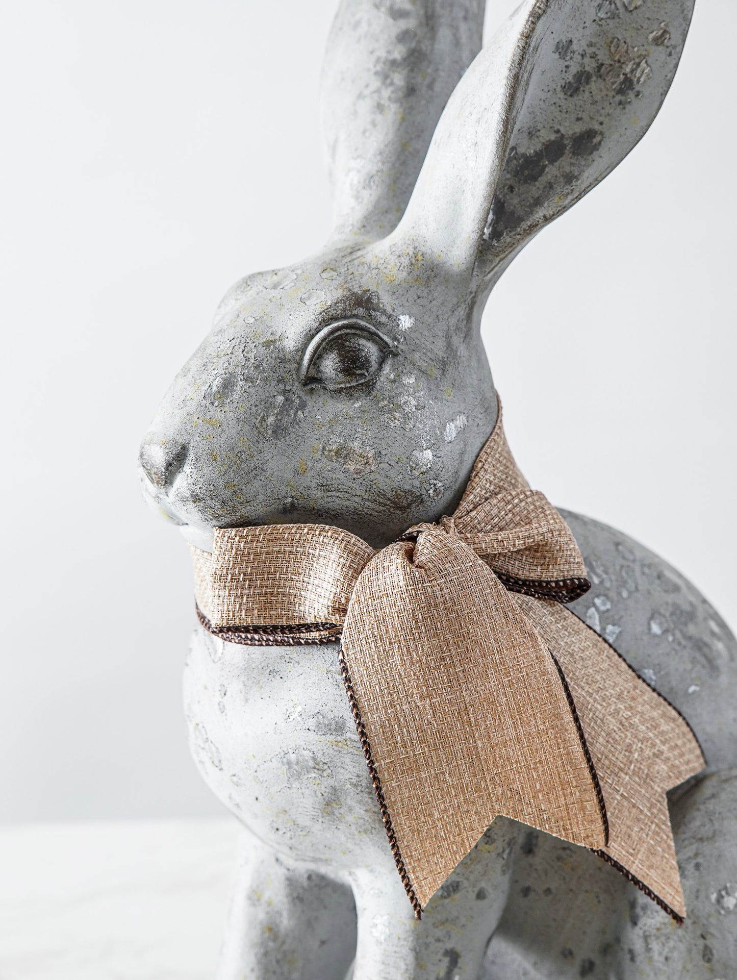 Distressed Sitting Rabbit