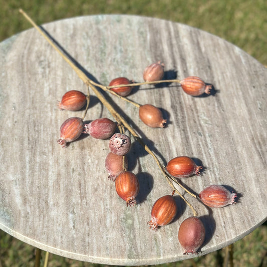 Autumn Pod Spray
