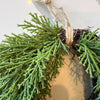 Fine Cedar Mini Hanging Wreath