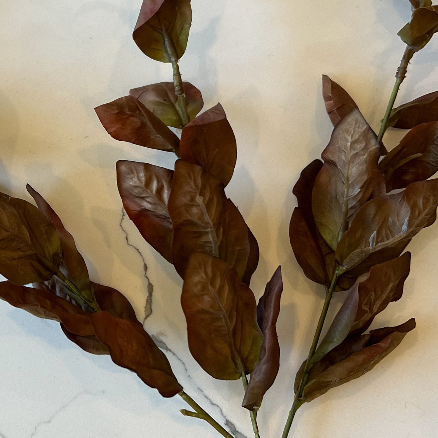 Brown Two Tone Basil Leaf Spray