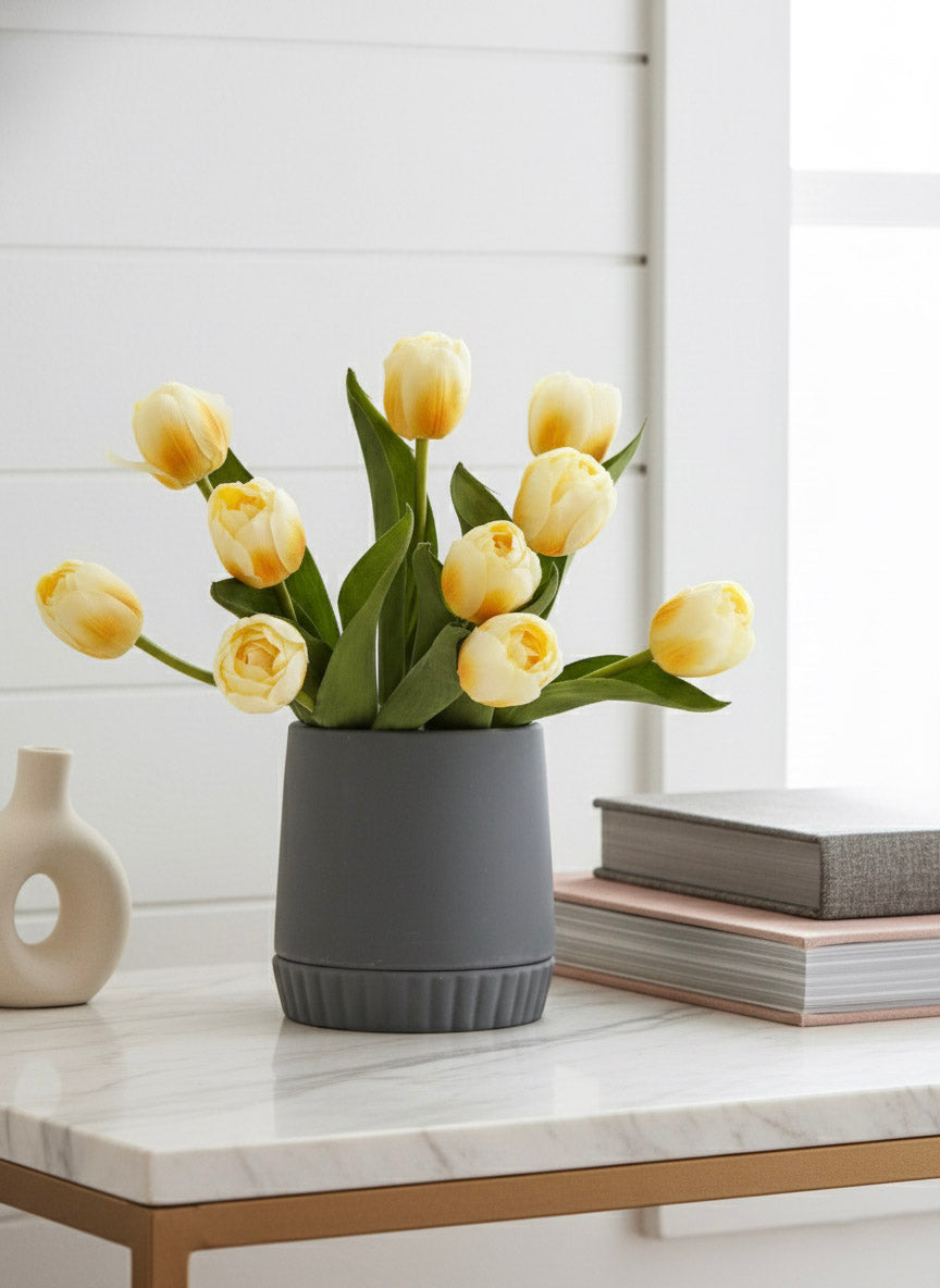 Everette Ceramic Pot with Saucer