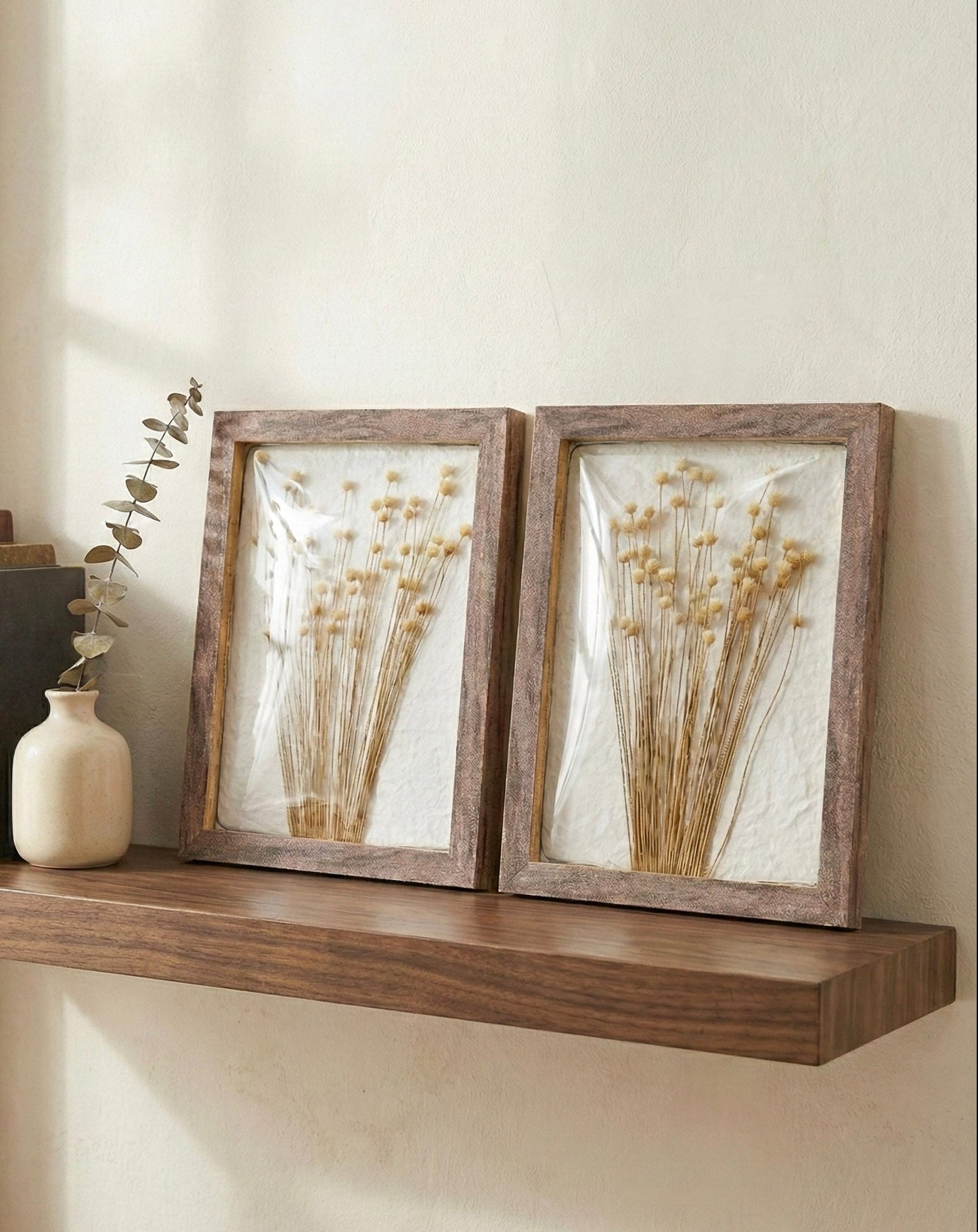 Dried Billy Button Wall Art Set