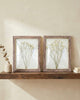 Dried Babies Breath Wall Art Set