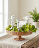Styled Look: Natural Spring Centerpiece