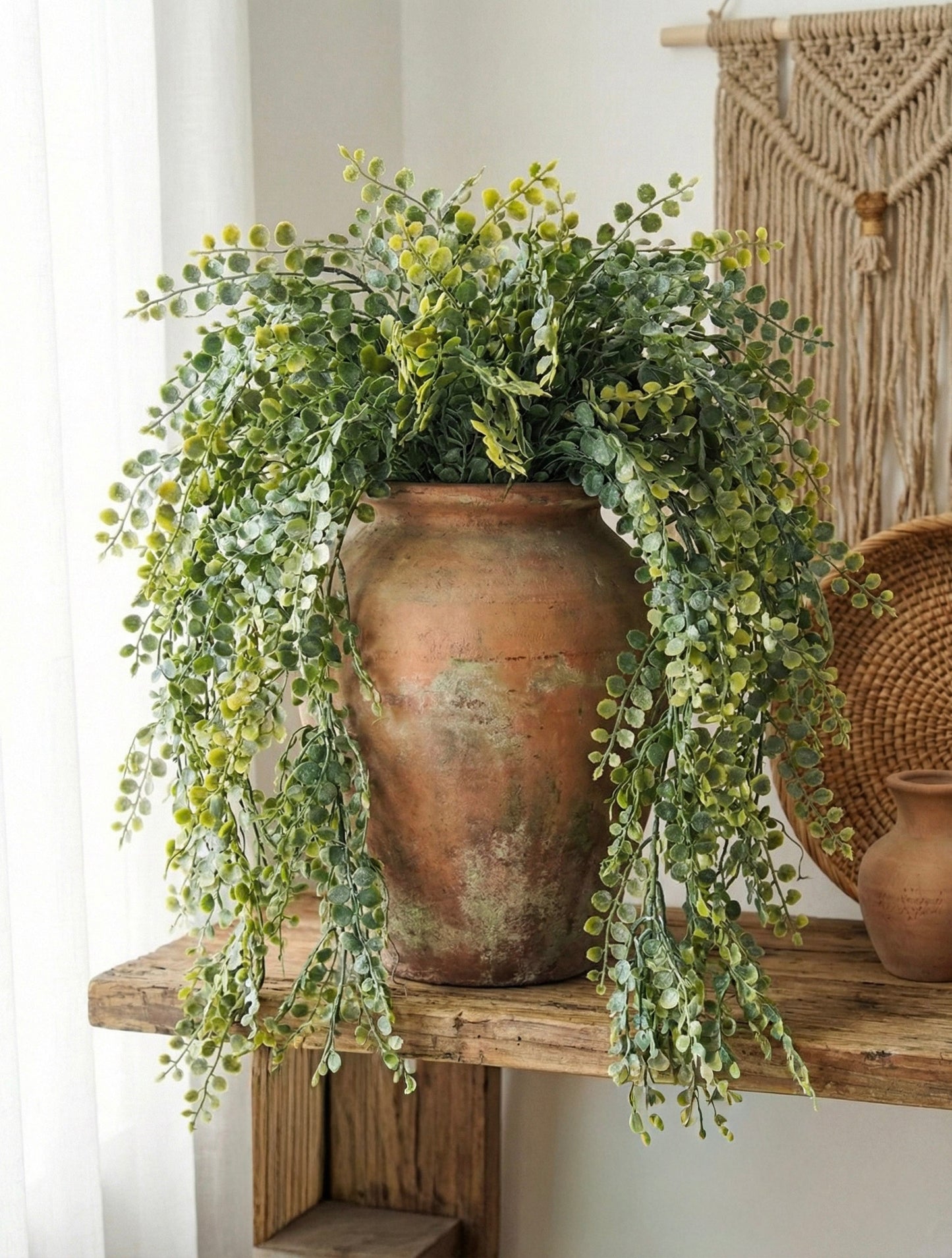 Meadow Eucalyptus Hanging Stem