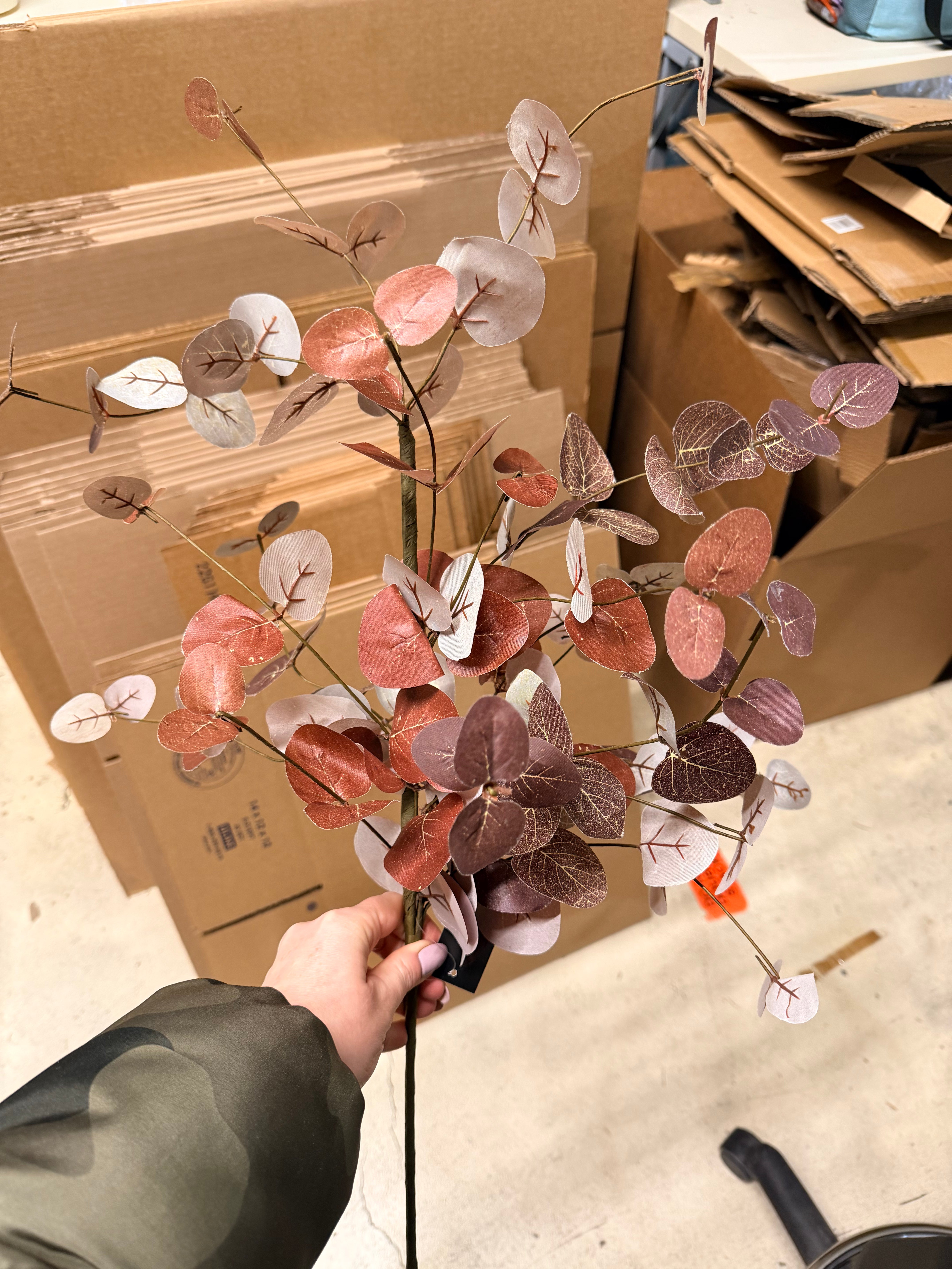 Burgundy Two Tone Eucalyptus Stem