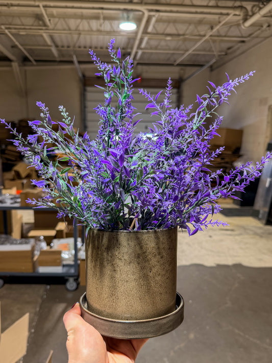 Lavender Look | Limited time offer