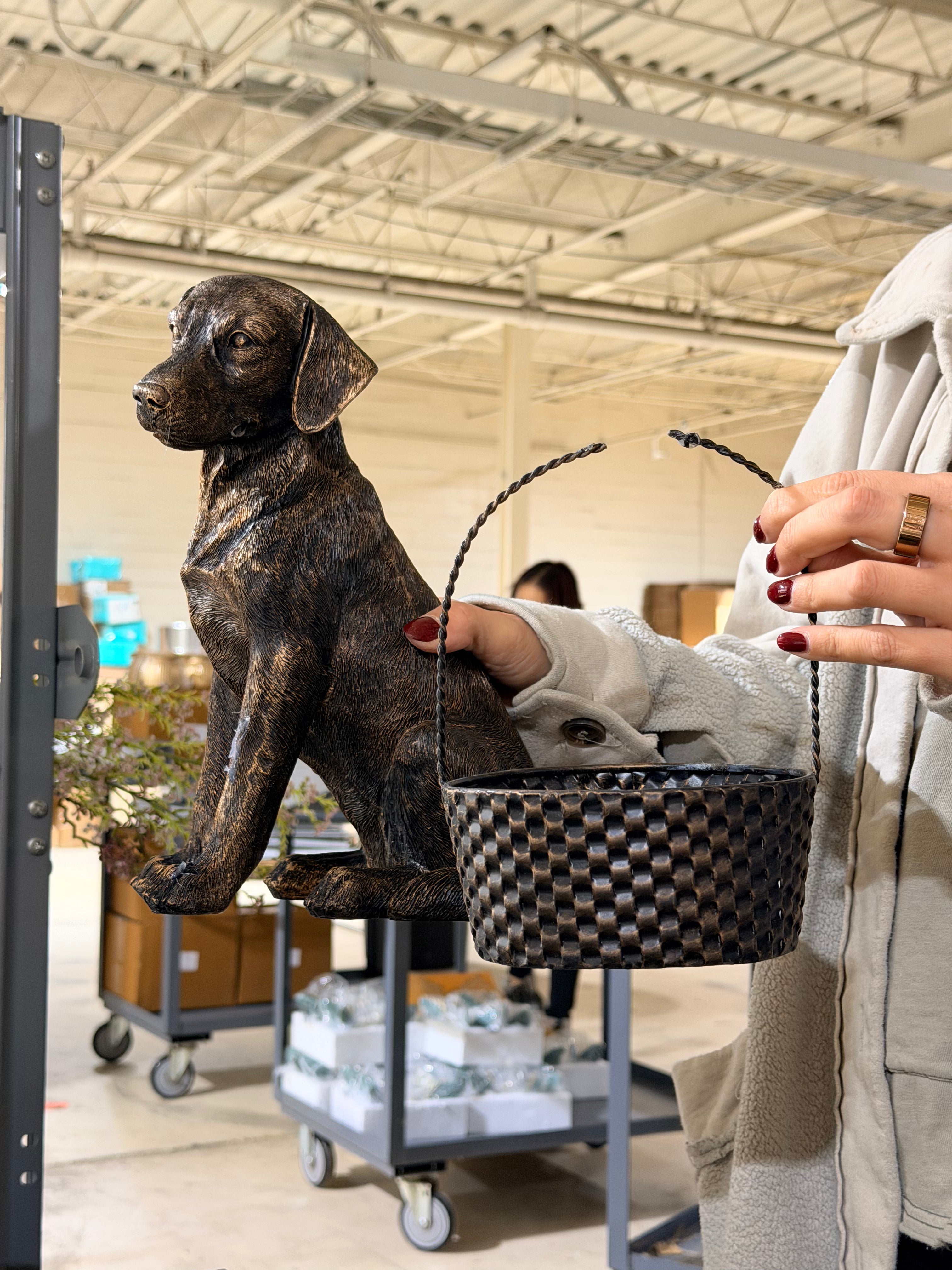 Scratch & Dent Dog Statue