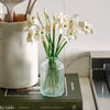 Marly Clear Glass Bottle Vase