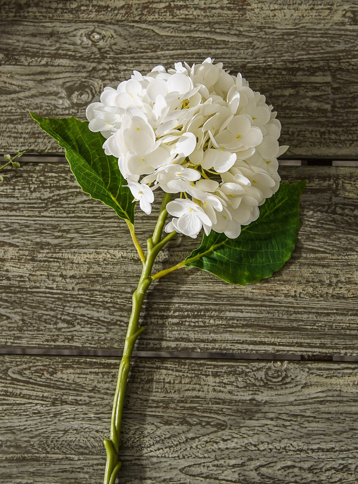 Petite Real Touch Hydrangea Stem