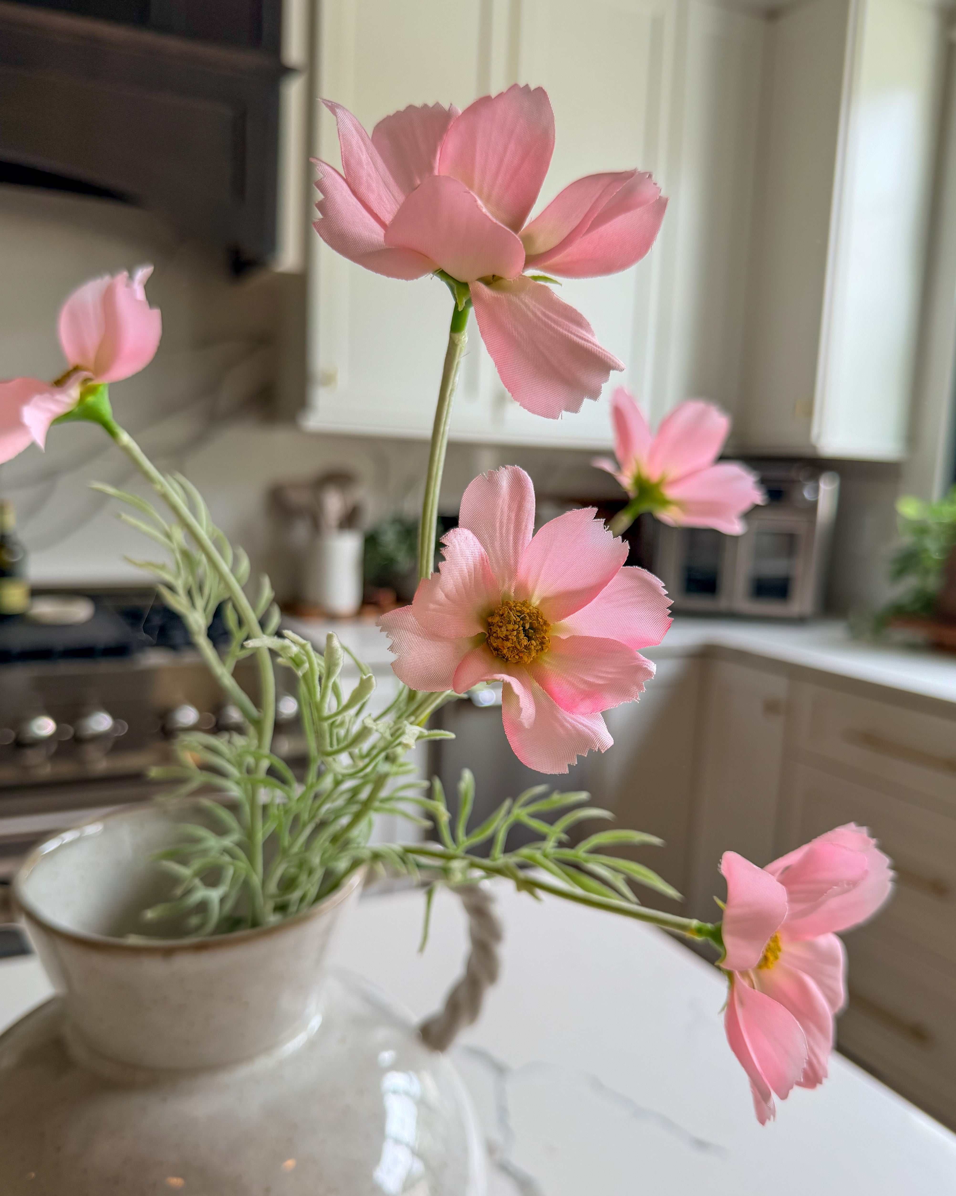 Rosewater Pink Cosmo Stem