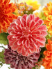 Real Touch Zinnia Bouquet & Vase Look