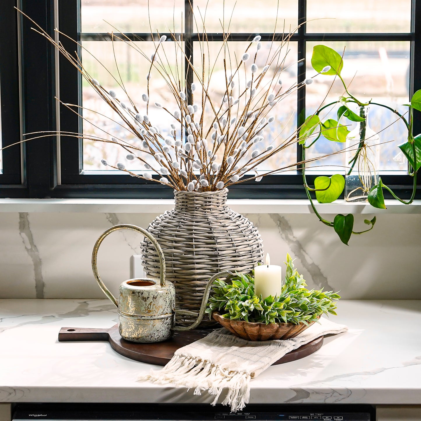 Pussy Willow Stem | Early Access Release