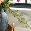Powdered Green Eucalyptus Berry Stem