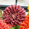 Real Touch Zinnia Bloom