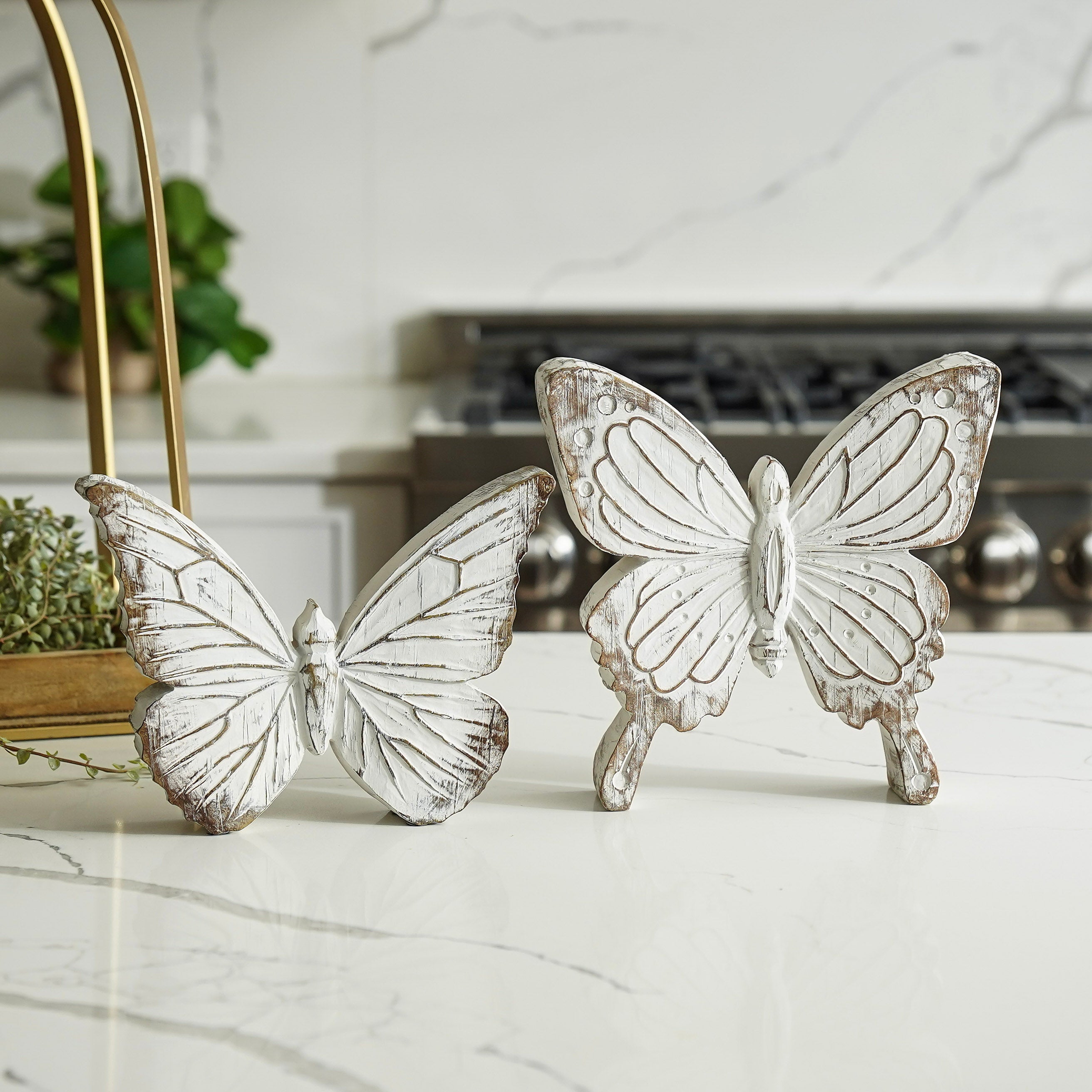 Butterfly Tray Styled Look