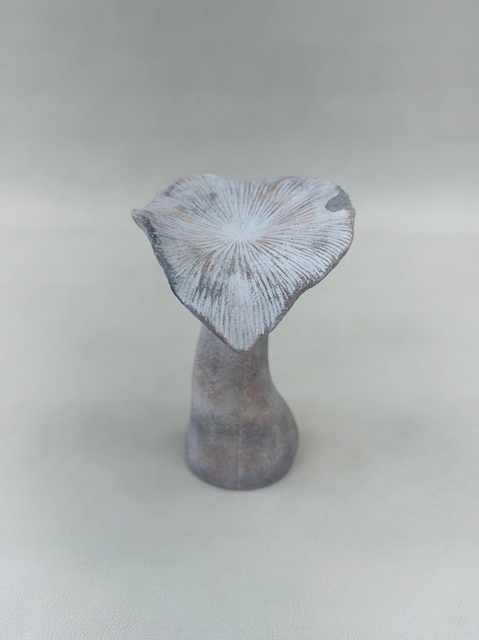 Concrete Garden Mushroom | Scratch & Dent