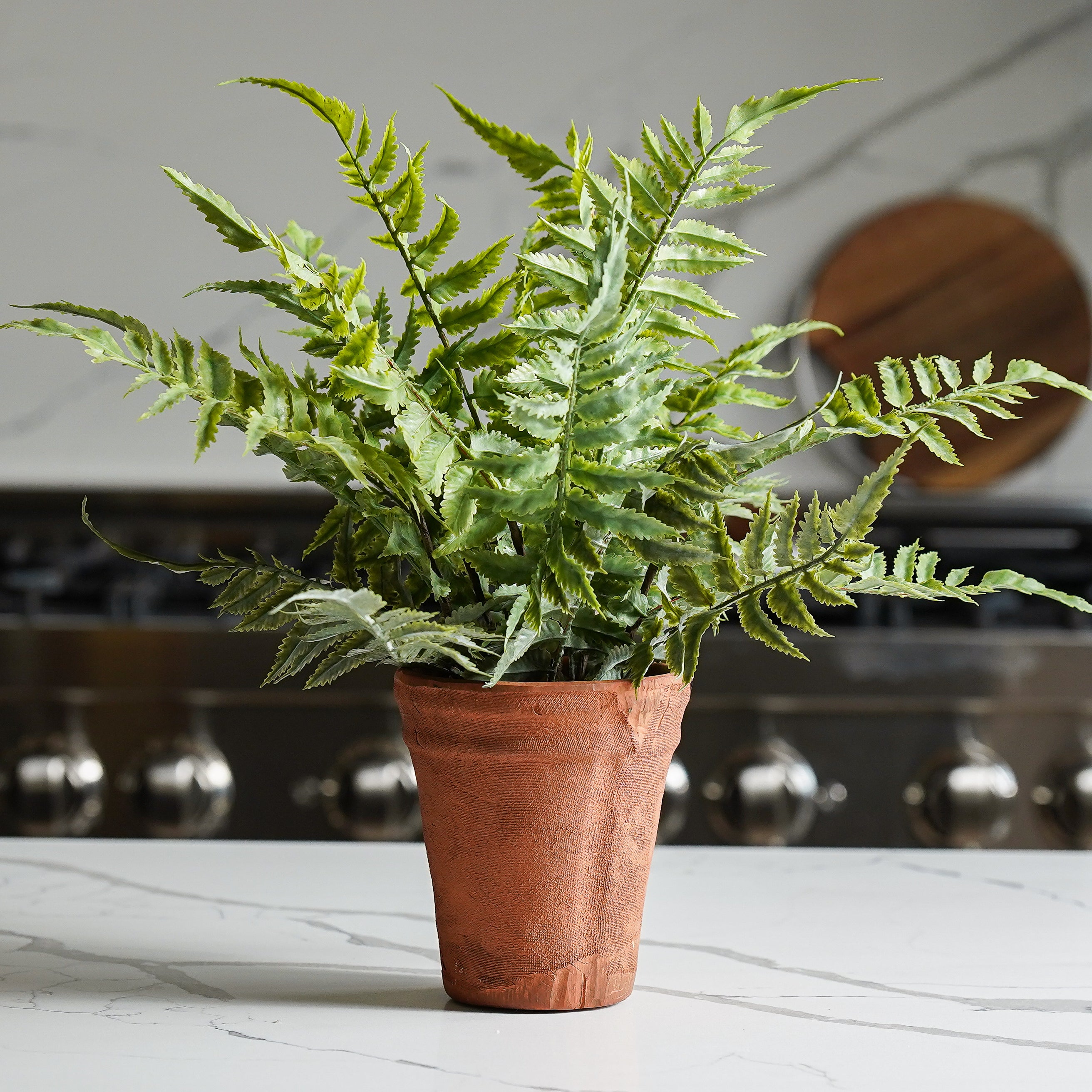 Chloe Terracotta Potted Faux Fern