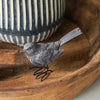 Brown Bird