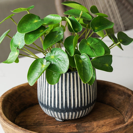 Charlotte Ribbed Planter