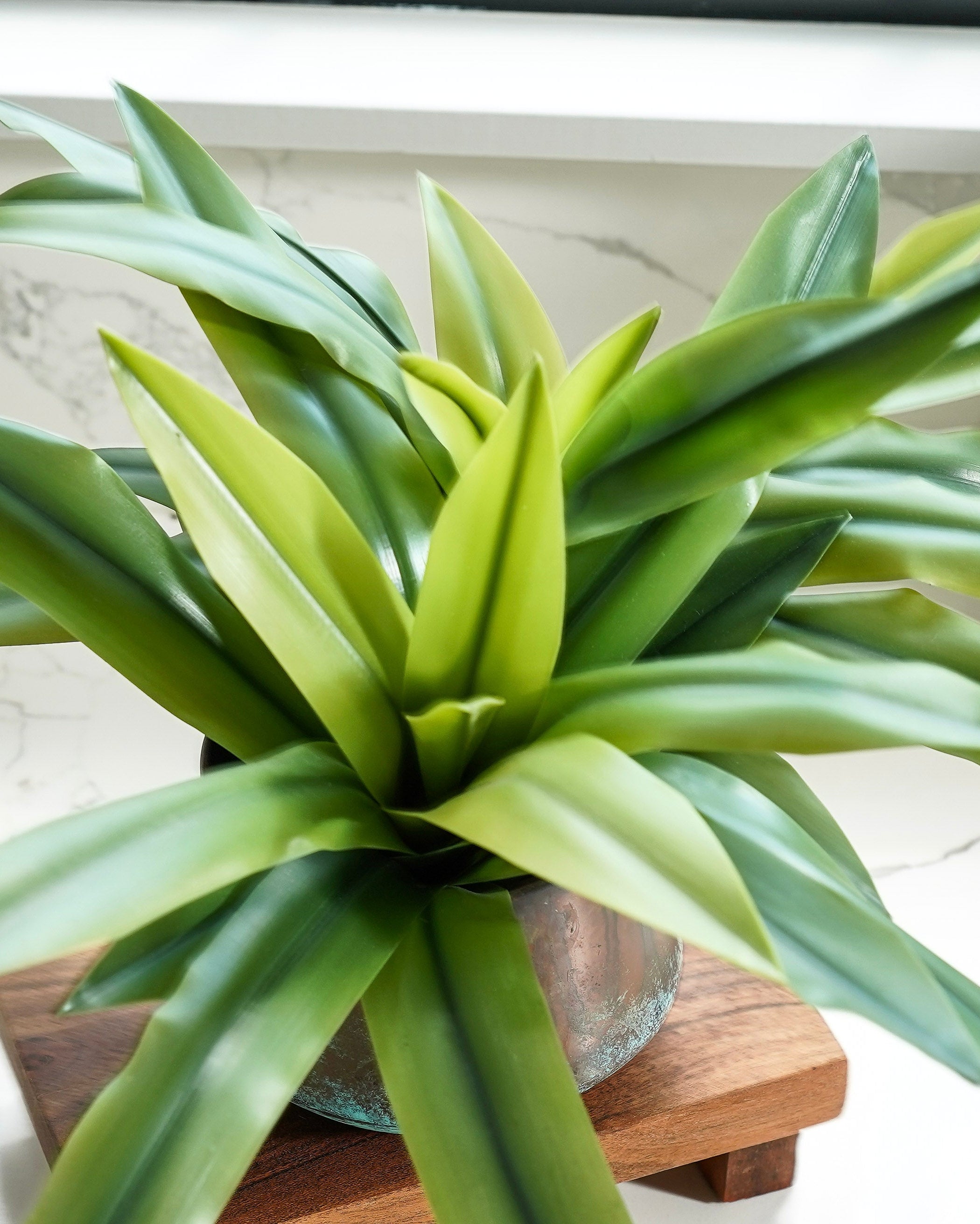 Romilly Real Touch Agave