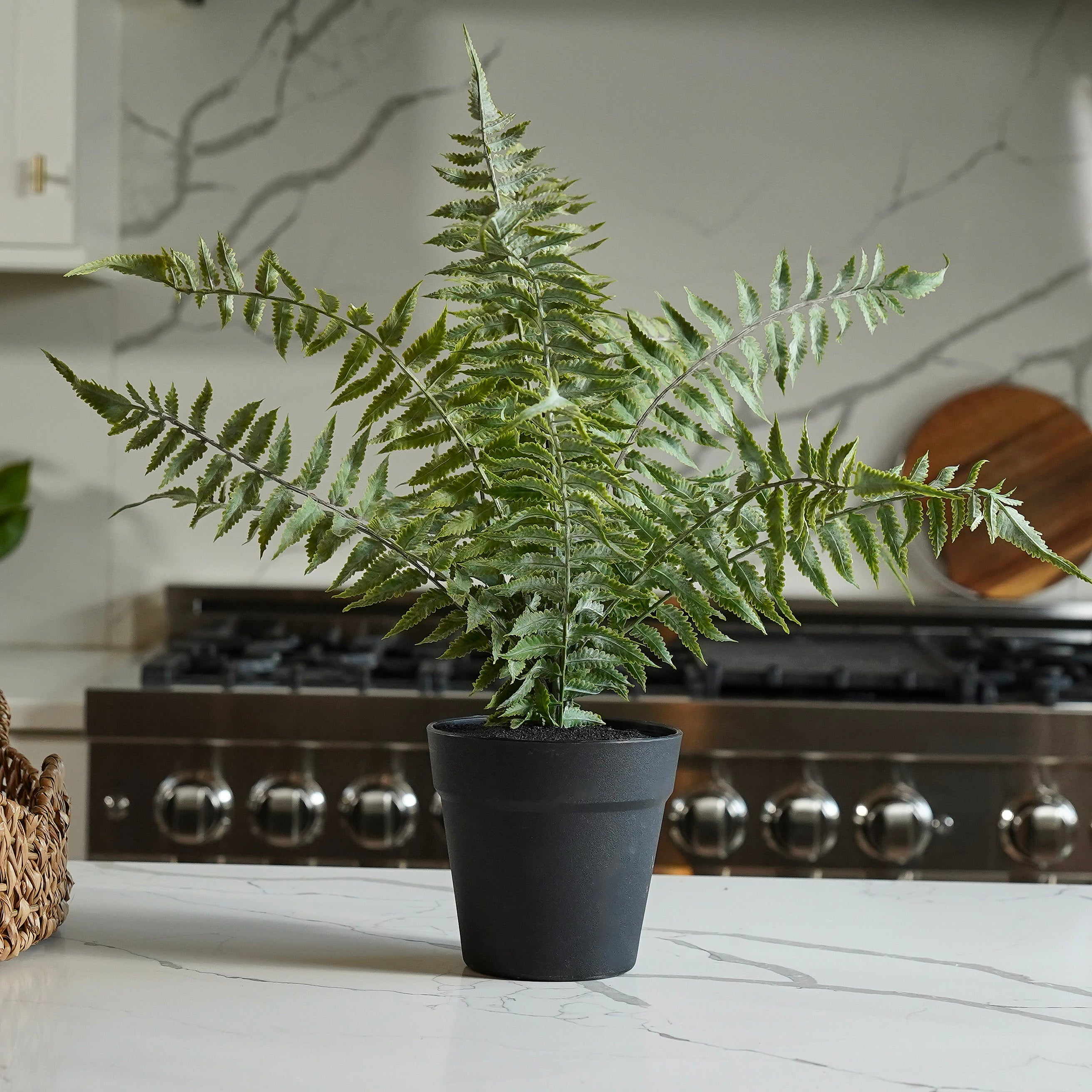 Lilliann Potted Fern