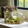 Capella Glass Cloche with Wood Base