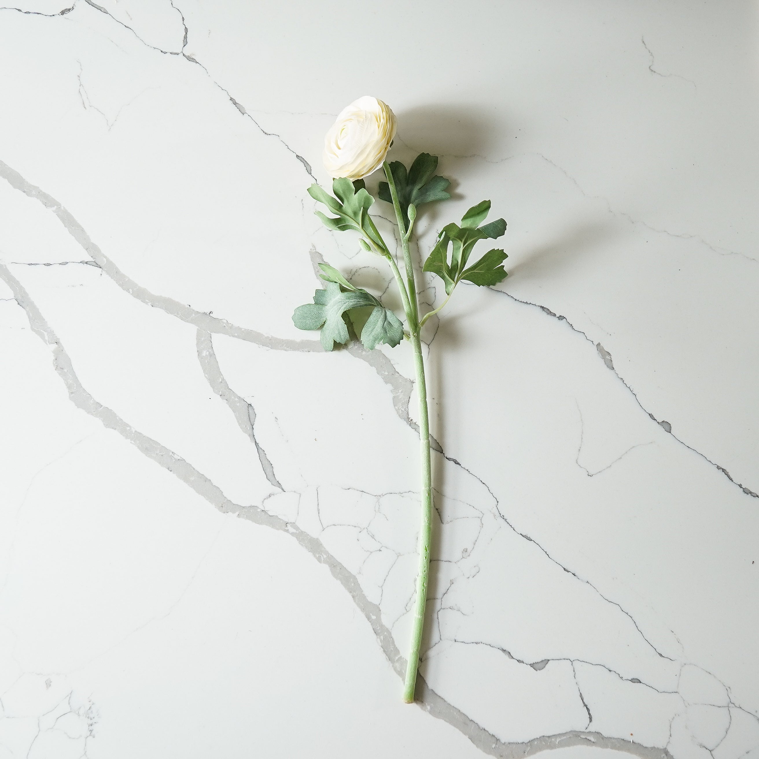 Real Touch Ranunculus Stem | White