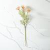 Real Touch Calliopsis | Latte