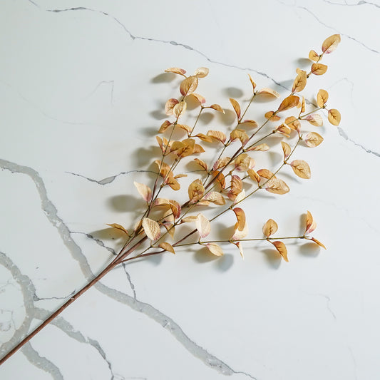 Beige Eucalyptus Stem