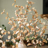 Beige Eucalyptus Stem