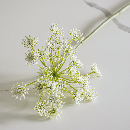 White Gypso Stem