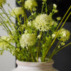 Green Dandelion Spray