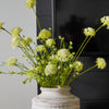 Green Dandelion Spray