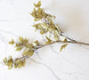 Leaf Branch | Sage