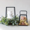 Iron Wood Lantern Display Set