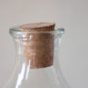 Glass Bottle Cloche with Cork and Wood Base
