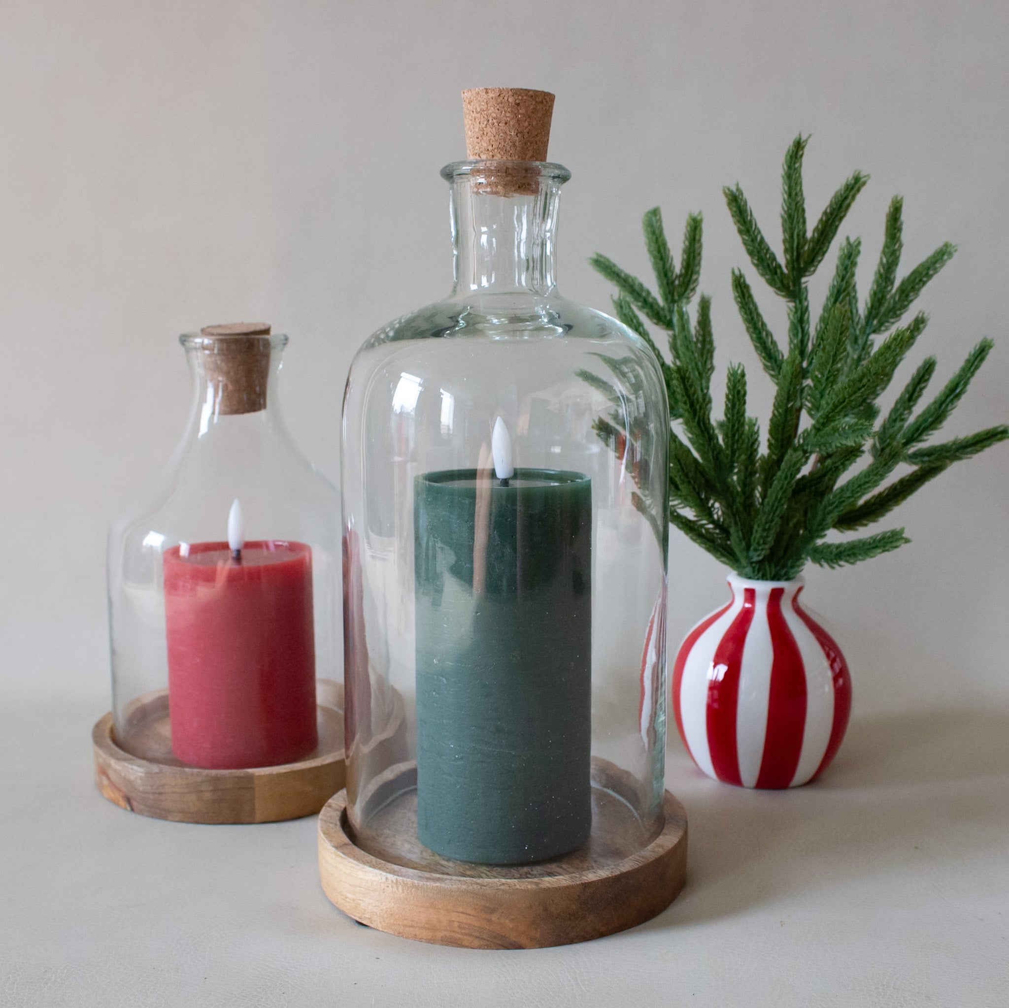 Glass Bottle Cloche with Cork and Wood Base