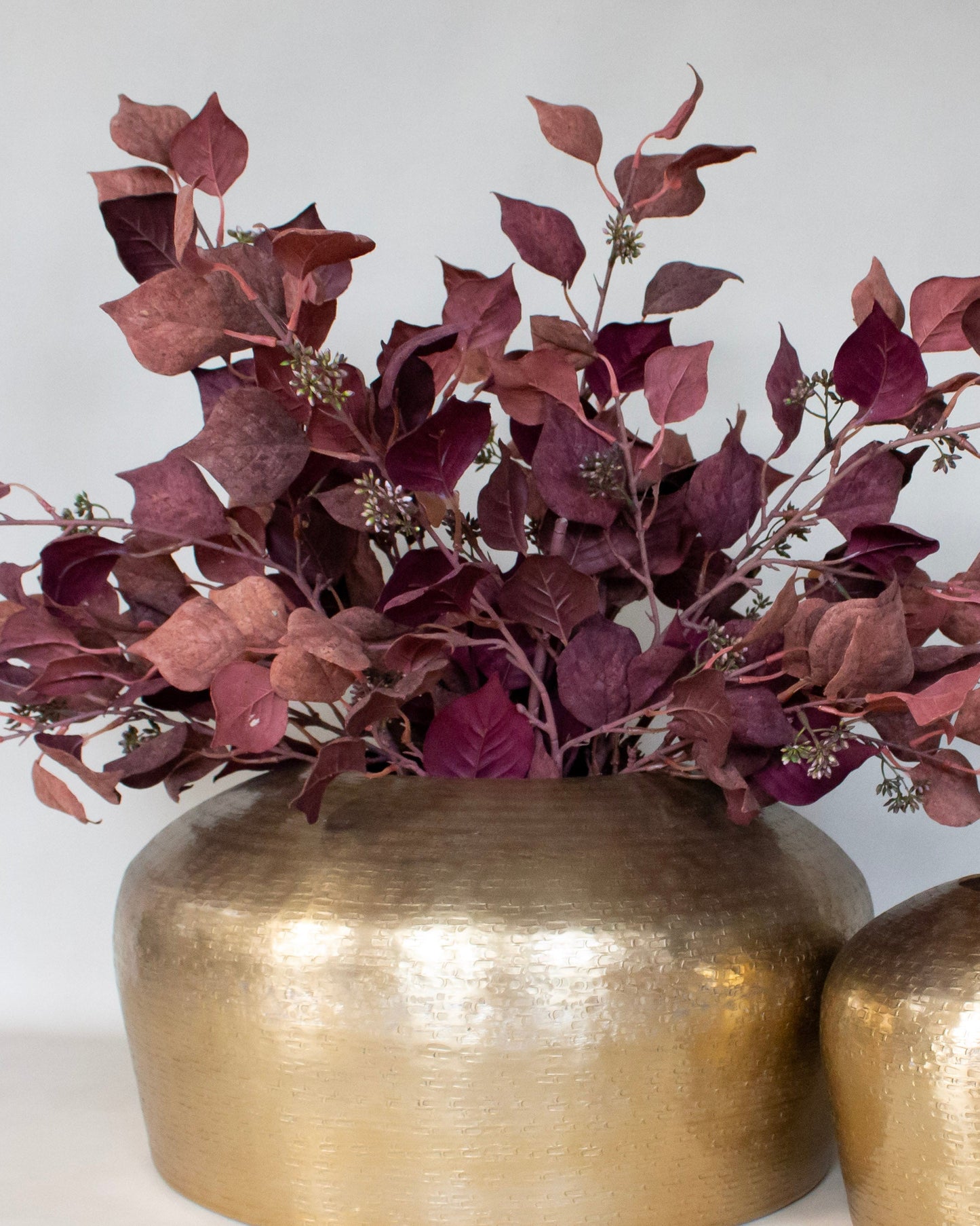 Burgundy Silver Dollar Eucalyptus Stem