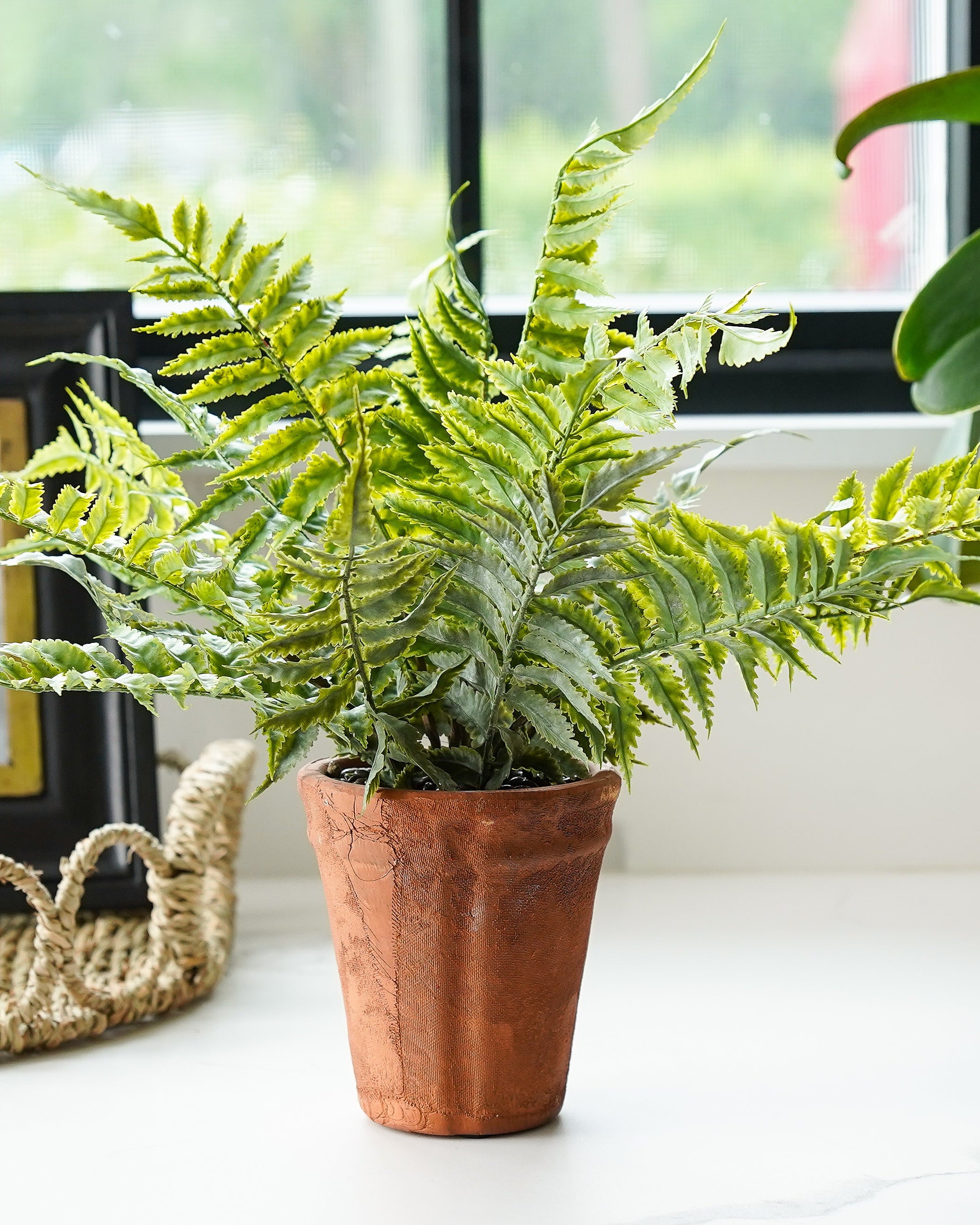 Chloe Terracotta Potted Faux Fern