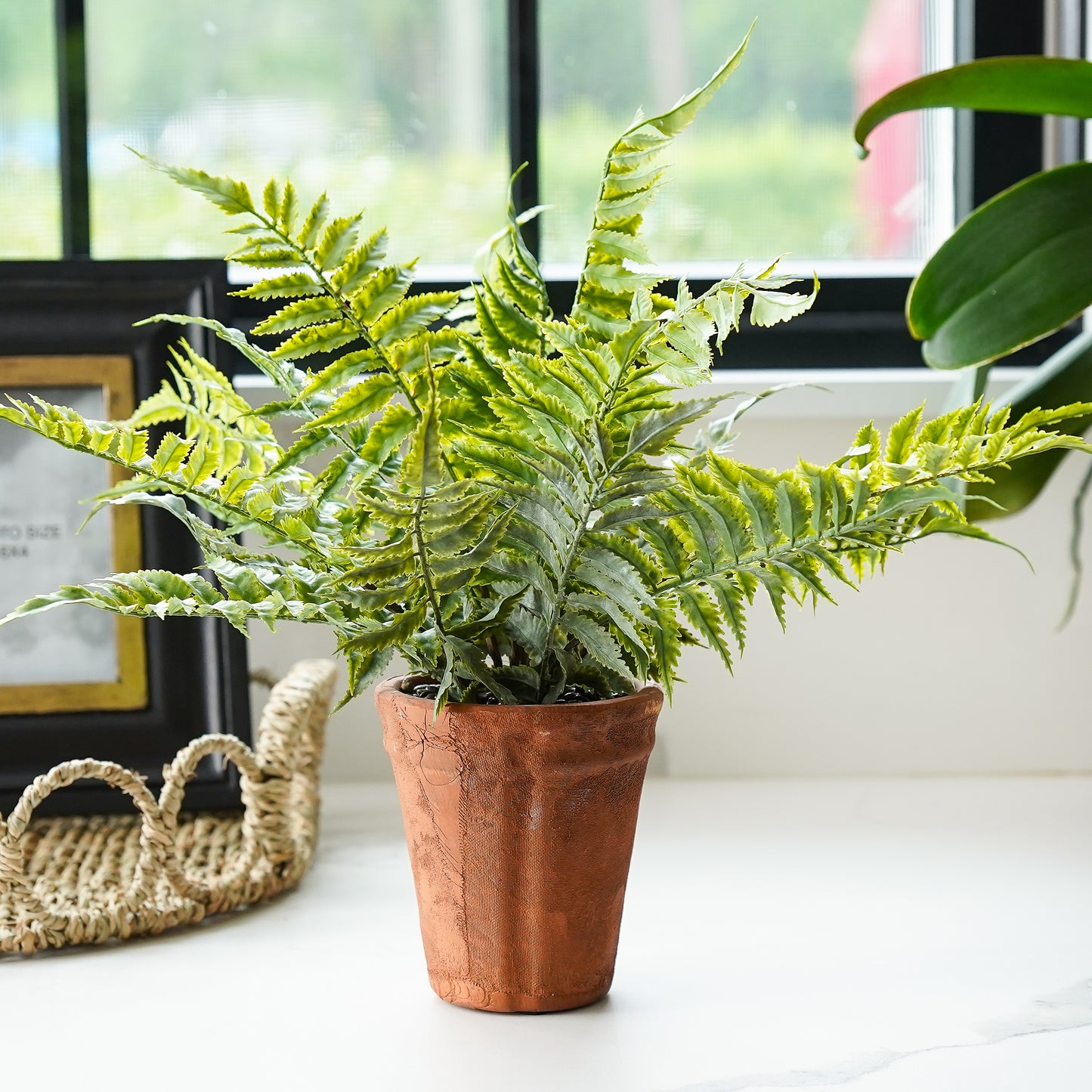 Chloe Terracotta Potted Faux Fern