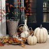 Wood Look Pumpkin | Whitewashed Resin Fall Decor