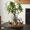 Money Tree Branch