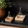 Two glass decanters on wooden stands with a plant in the background.
