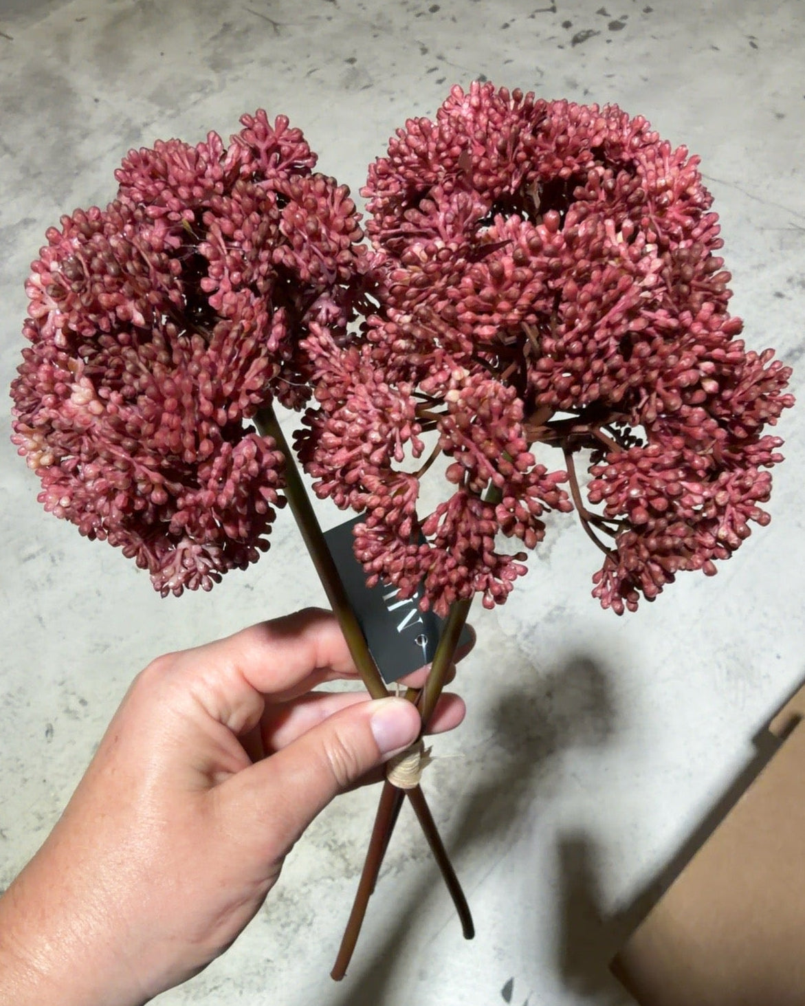 Dusty Cranberry Seed Pod Bundle