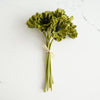 Real Touch Poppy Bunch | Autumn Green