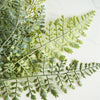 Real Touch Curly Coriander Stem