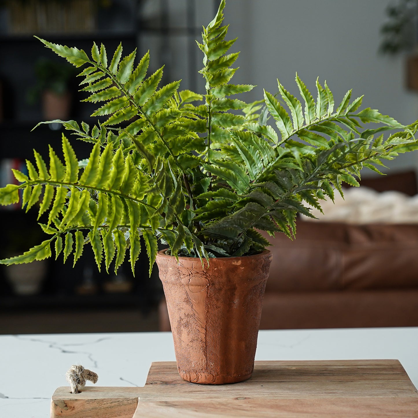 Chloe Terracotta Potted Faux Fern